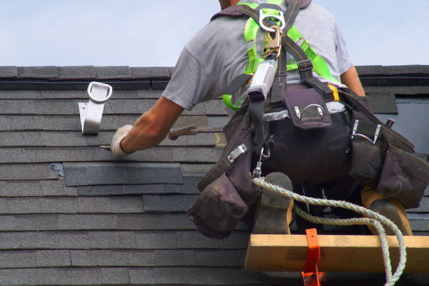 Best Roof Gutter Cleaning  in Hebbronville, TX