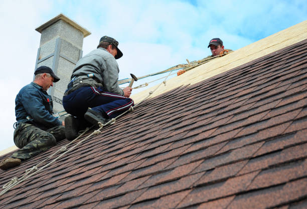 Best Emergency Roof Repair  in Hebbronville, TX