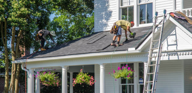Best Roof Waterproofing Services  in Hebbronville, TX
